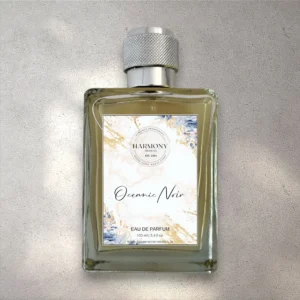 oceanic noir mens perfume harmony aromatics versace dylan blue inspired